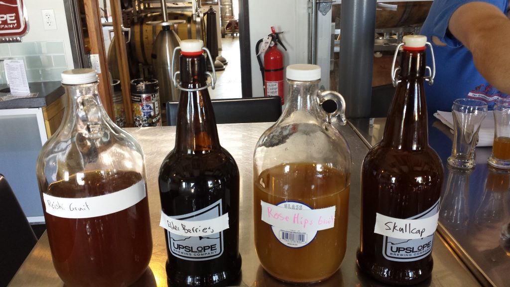 Reishi Mushroom | Elder Berry | Rosehips | Scullcap